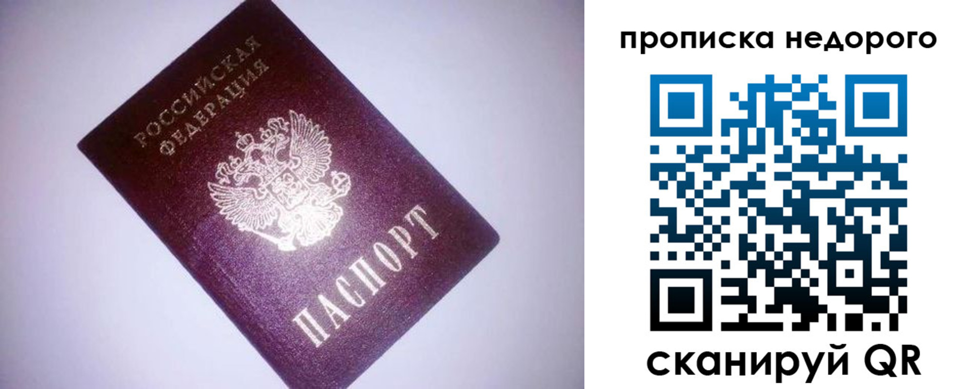 прописка для школы в Кировске